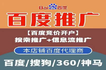 竞价广告案例分析：品牌成功之道